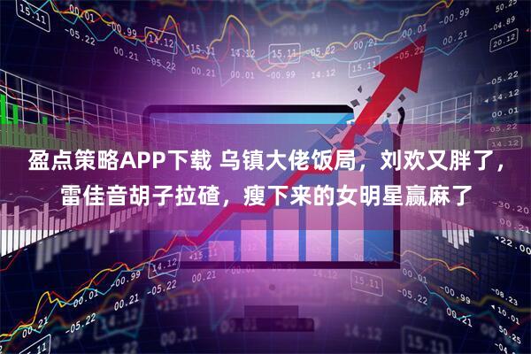 盈点策略APP下载 乌镇大佬饭局，刘欢又胖了，雷佳音胡子拉碴，瘦下来的女明星赢麻了