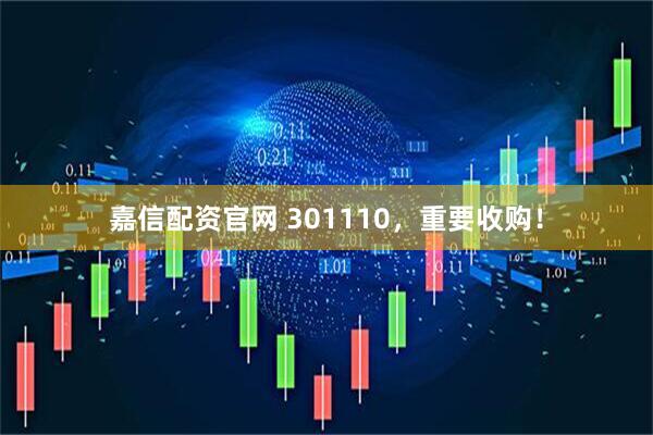 嘉信配资官网 301110，重要收购！